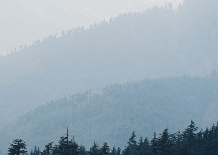 Indien Manali individuel rejse