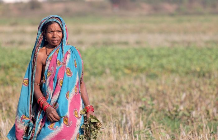 orissa