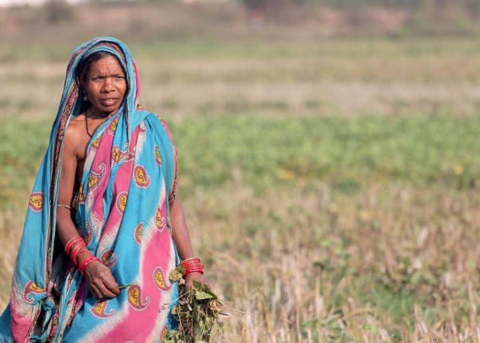 orissa