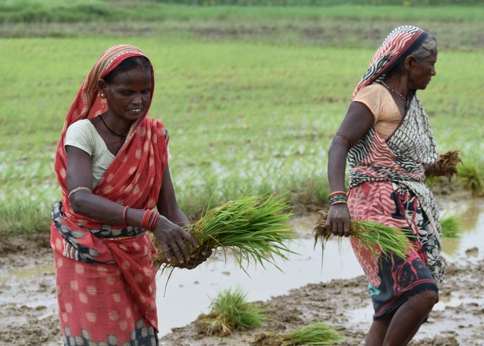 orissa