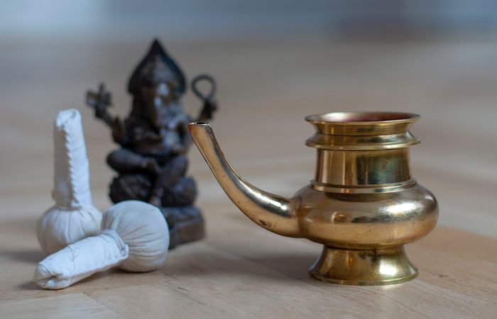 ayurveda behandling Grace Tours