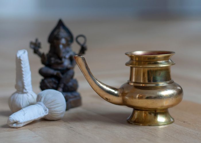 ayurveda behandling Grace Tours
