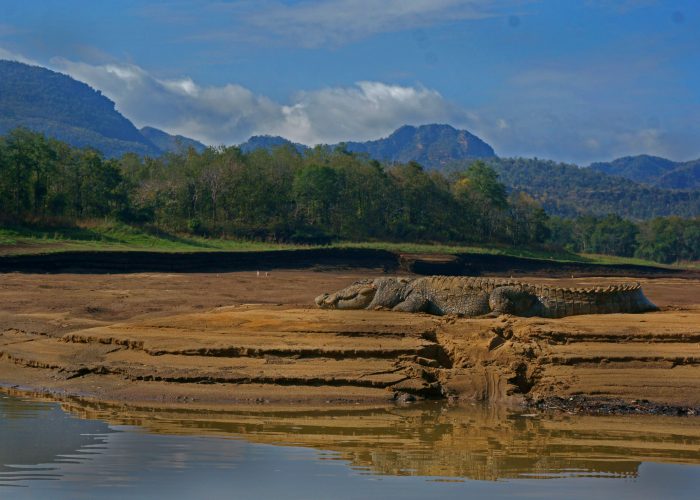 midtindiens hemmeligheder